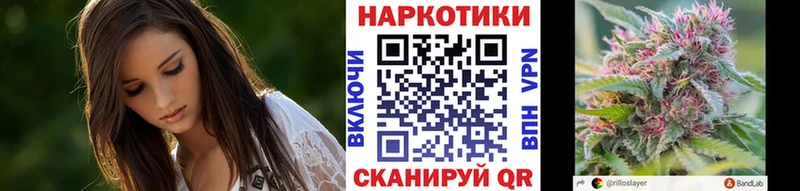 Виды наркоты Новокубанск СОЛЬ COCAIN Псилоцибиновые грибы ГАШИШ Меф мяу мяу