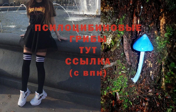 мяу мяу мука Абдулино