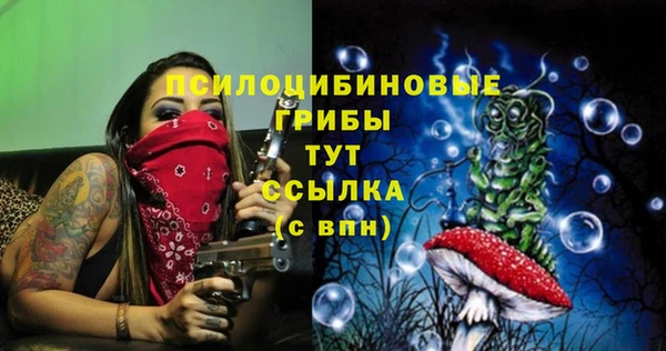 jwh Алзамай