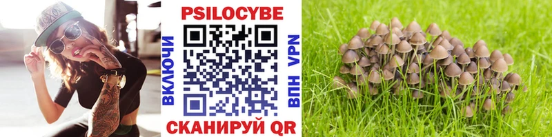 Псилоцибиновые грибы Magic Shrooms  Новокубанск 